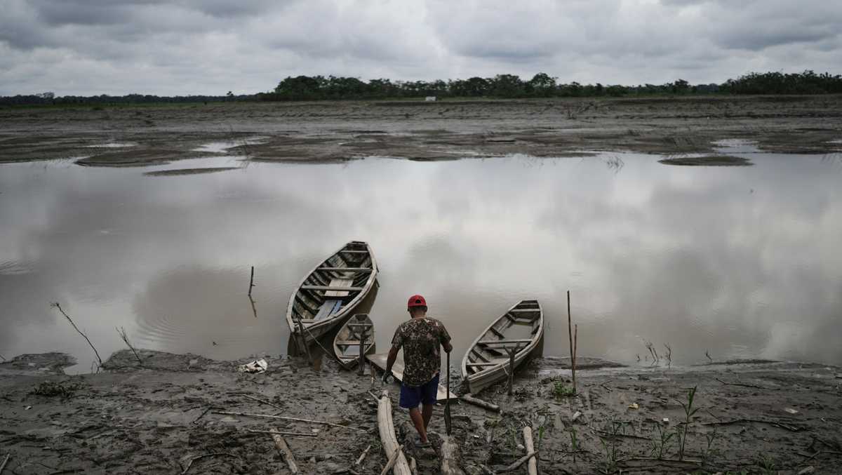 Study finds climate change is reducing oxygen in rivers worldwide - WJCL