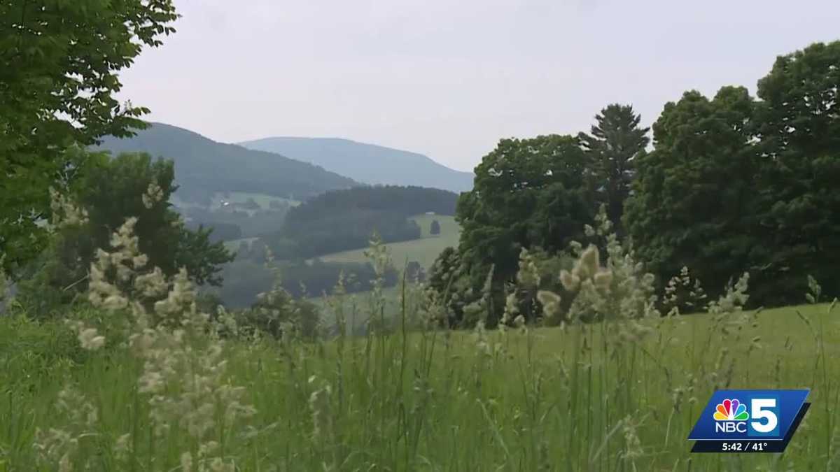 'ReuseApalooza' seeks to limit waste, increase affordability, boost community connections