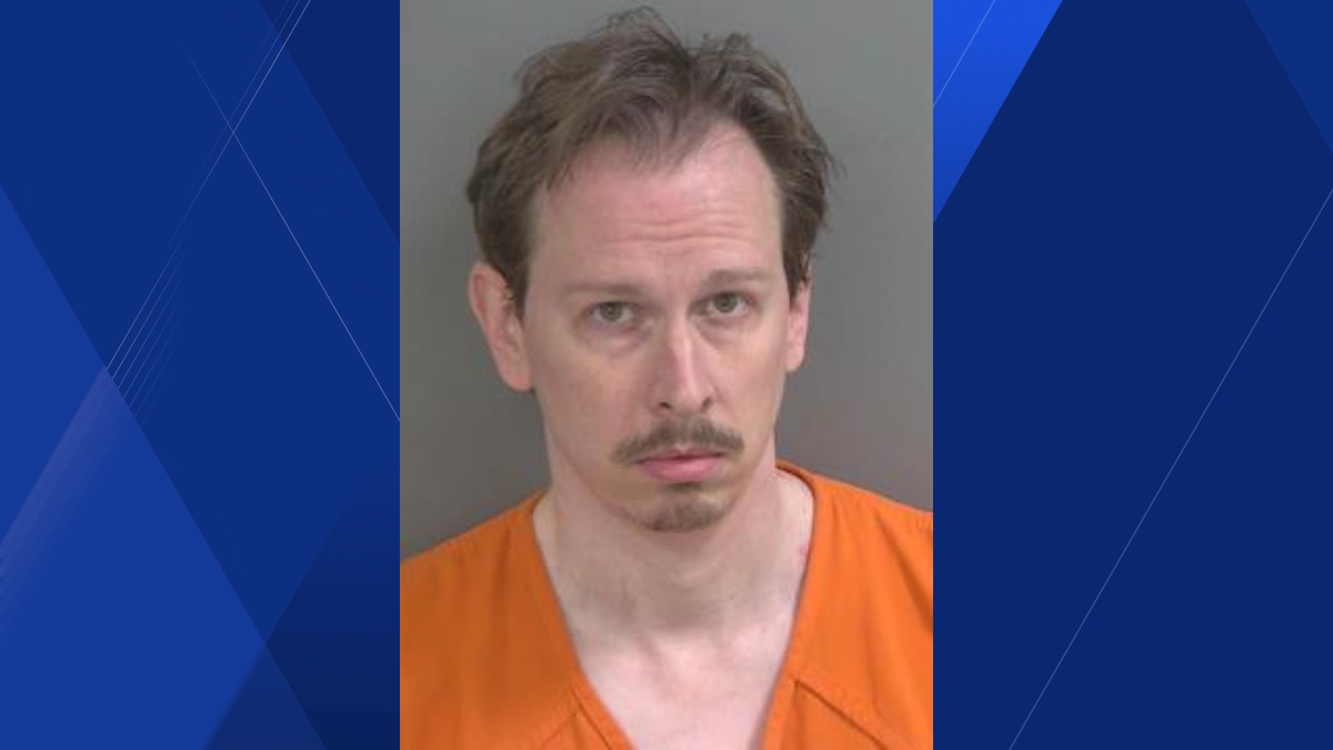Florida man accused of having child pornography files depicting kids as ...