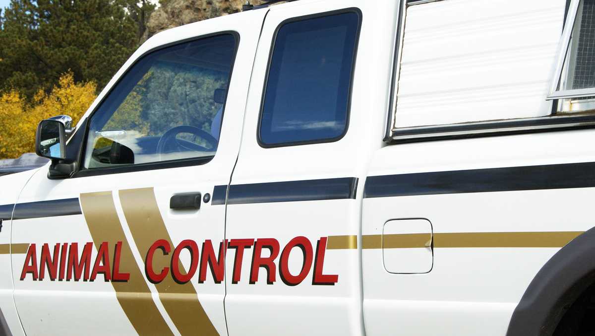 Salinas animal control officer under investigation after alleged battery