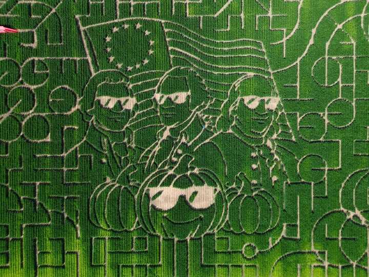Fall 2026 guide to Sacramento-area pumpkin patches and corn mazes