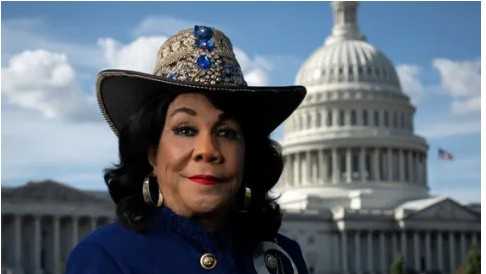 Long-time House member Frederica Wilson won't run again in Florida district