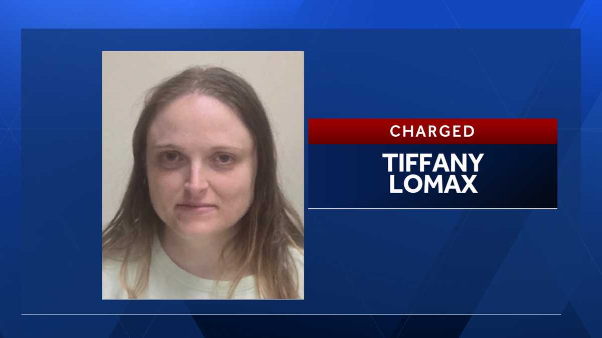 Davidson County woman charged after reported stabbing during domestic incident, officials say