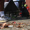 Bond Hill's Safe & Strong program trains kids to prevent gun violence while cleaning up communities