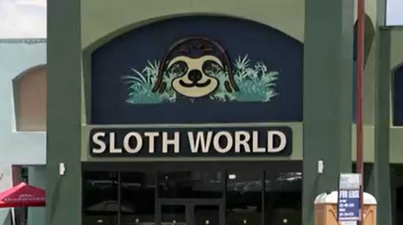 Experts call for ban on sloth imports after 55 animals die before opening of ﻿Sloth World in Orlando