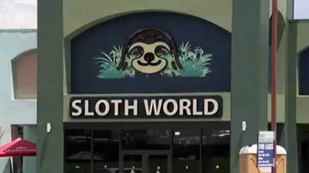 Former Sloth World president calls for stricter rules in Florida ahead of FWC meeting | Exclusive