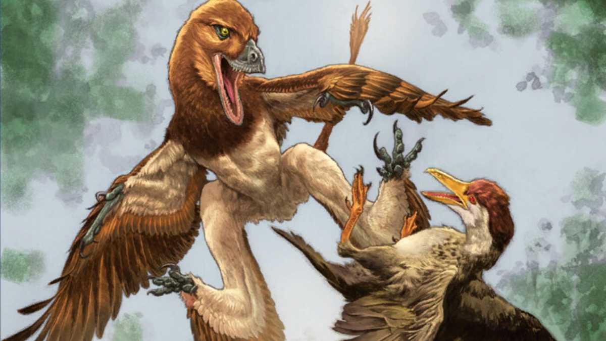 UNL paleontologist helps to identify new dinosaur species