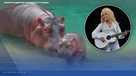 Florida zoo names baby pygmy hippo after Dolly Parton