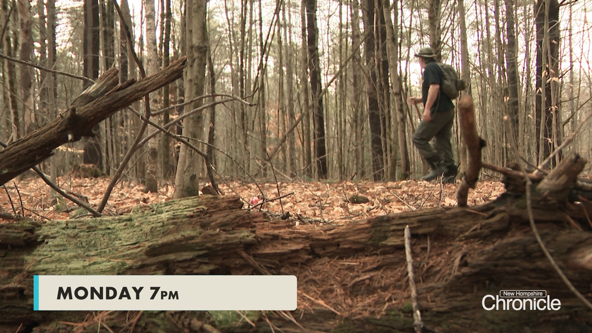 Monday on NH Chronicle: Bigfoot Hunt