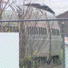 Apparent death along train tracks in Plaistow after Amtrak train collides with vehicle
