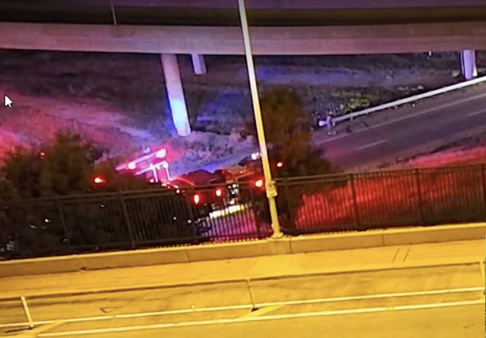 Cows roam downtown Kansas City after truck overturns, killing dozens of them