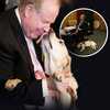 After plane hit north tower, blind man’s dog helped him safely get down 78 flights
