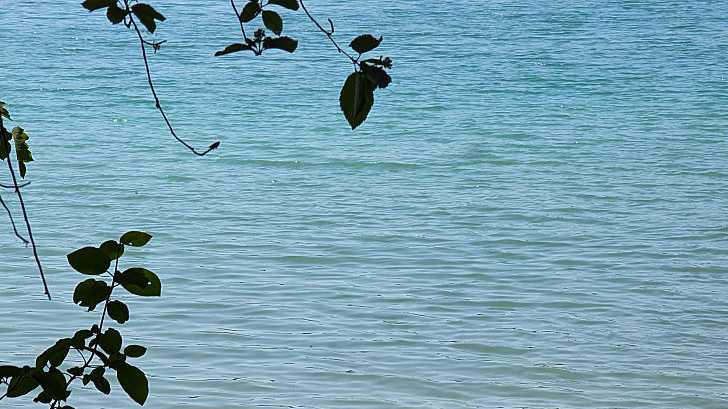 Swimming is not recommended at these 11 public beaches in Iowa