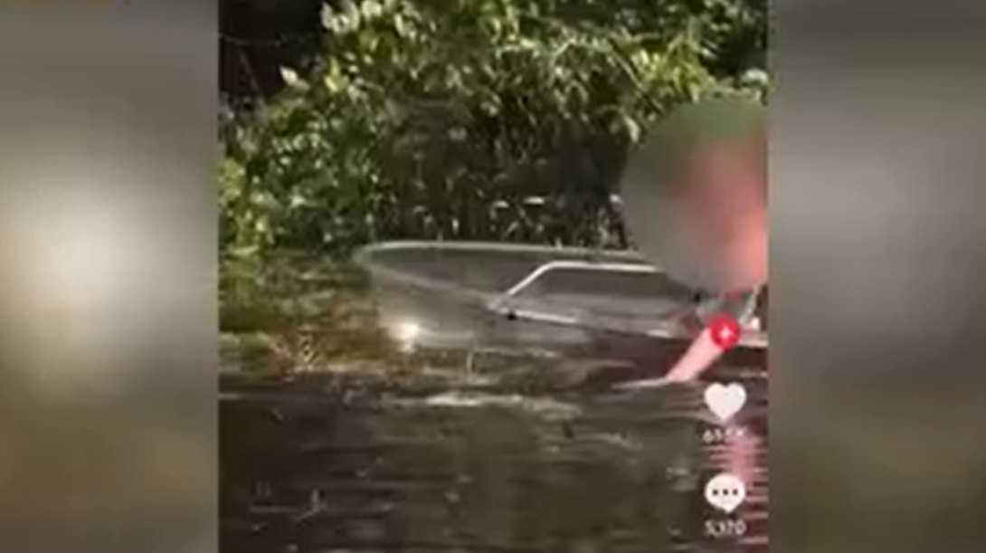 Woman seen petting an alligator in a Florida river