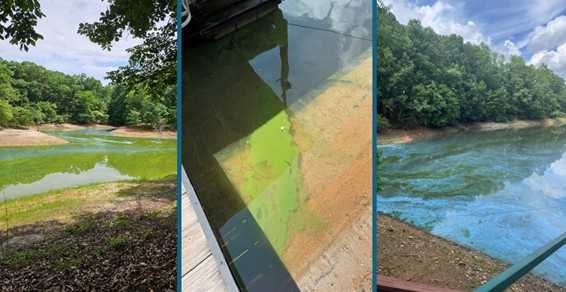 Lake Hartwell under harmful algal bloom watch after new reports