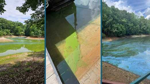 Lake Hartwell under harmful algal bloom watch after new reports