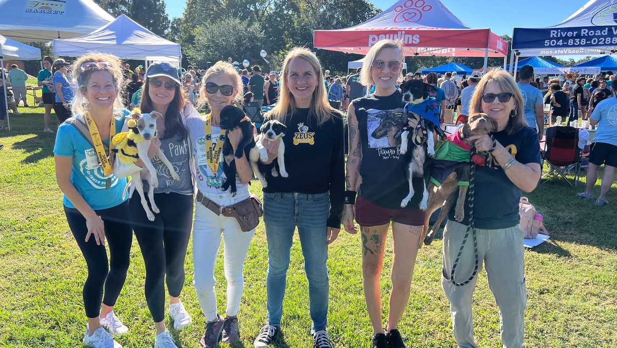 NOLA Dogs Race to the Rescue 5K helping local shelters