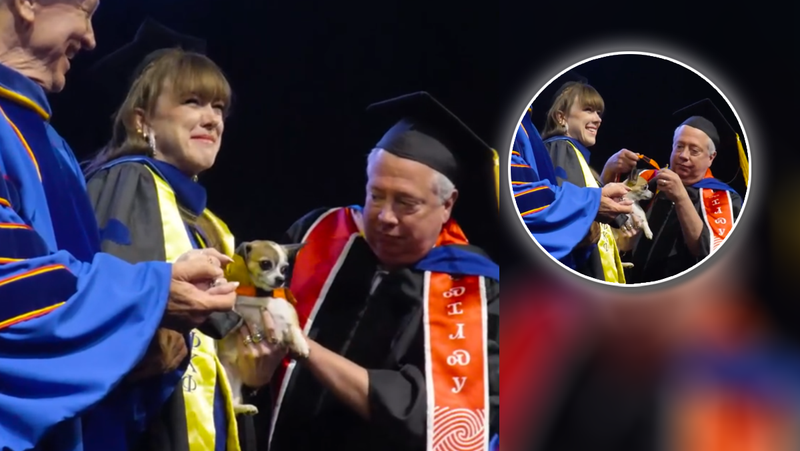 ADORABLE VIDEO: Doctoral candidate and support dog receive hoods at graduation KOCO