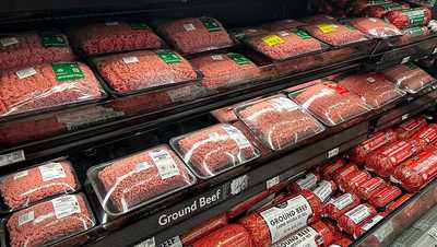 What screwworm means for your beef priceswbbh