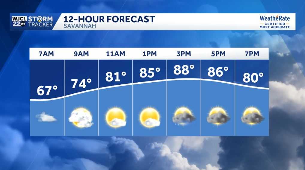 Savannah: A few showers or thunderstorms today - WJCL