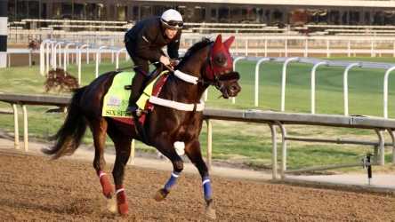 Kentucky Derby 152 notebook - Saturday, April 25