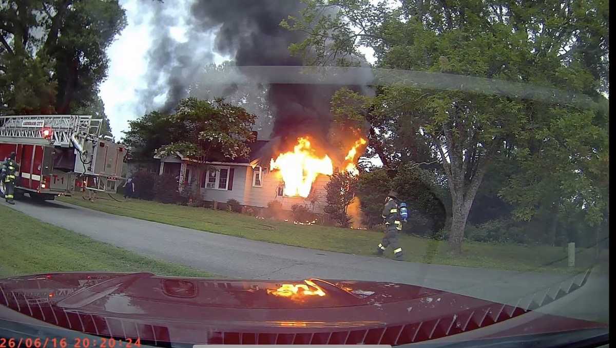 Several pets rescued from Upstate house fire, officials say