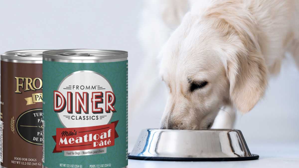 Popular canned dog food recalled across U.S. amid possible metal ...