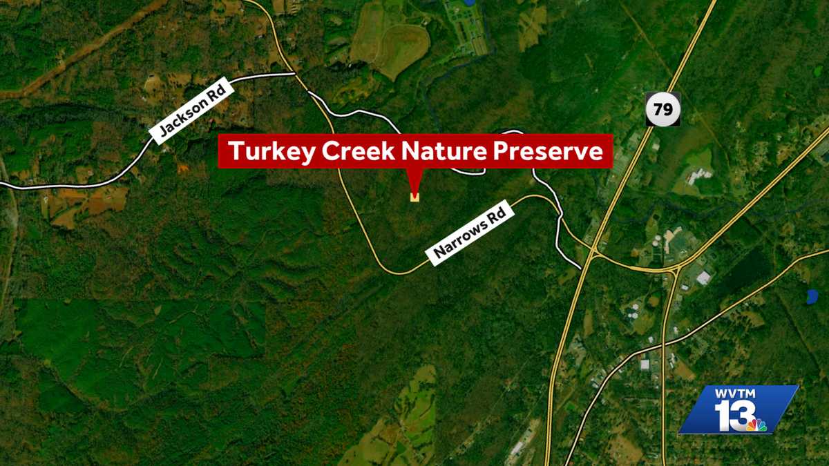 Two siblings die after going underwater at Turkey Creek Nature Preserve in Pinson