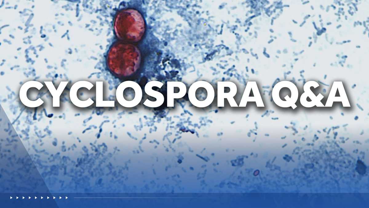 Answering your questions about Cyclosporiasis, the stomach bug outbreak that could linger through summer