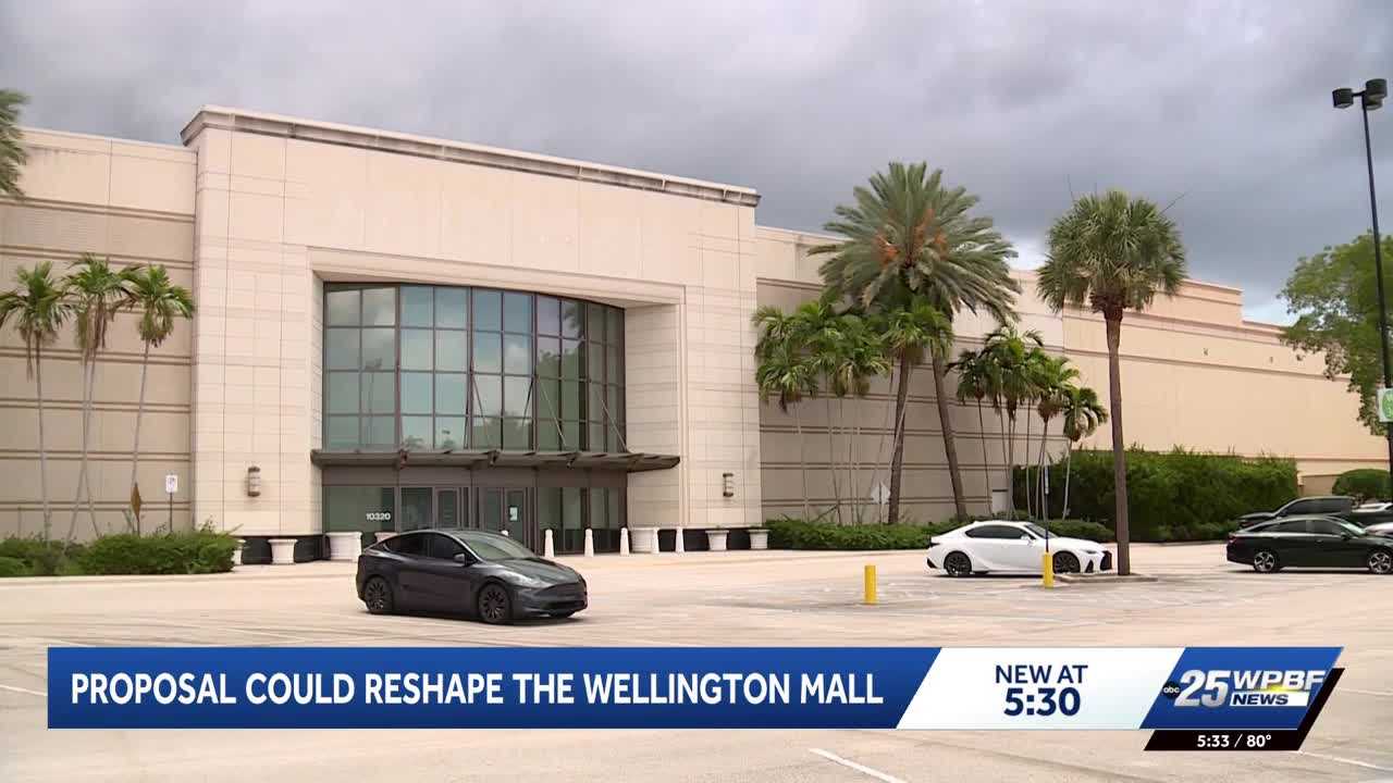 Wellington mall redevelopment plan draws mixed reactions from residents