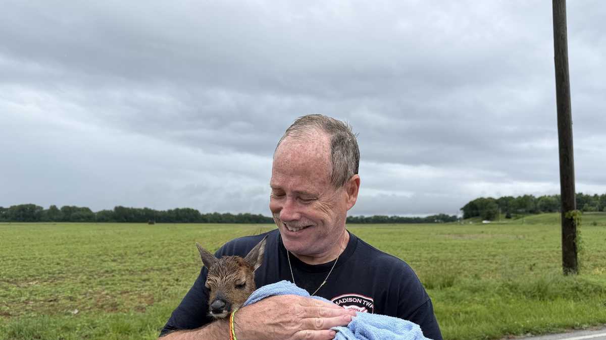 Southern Indiana firefighter hailed as hero after saving fawn from floodwaters