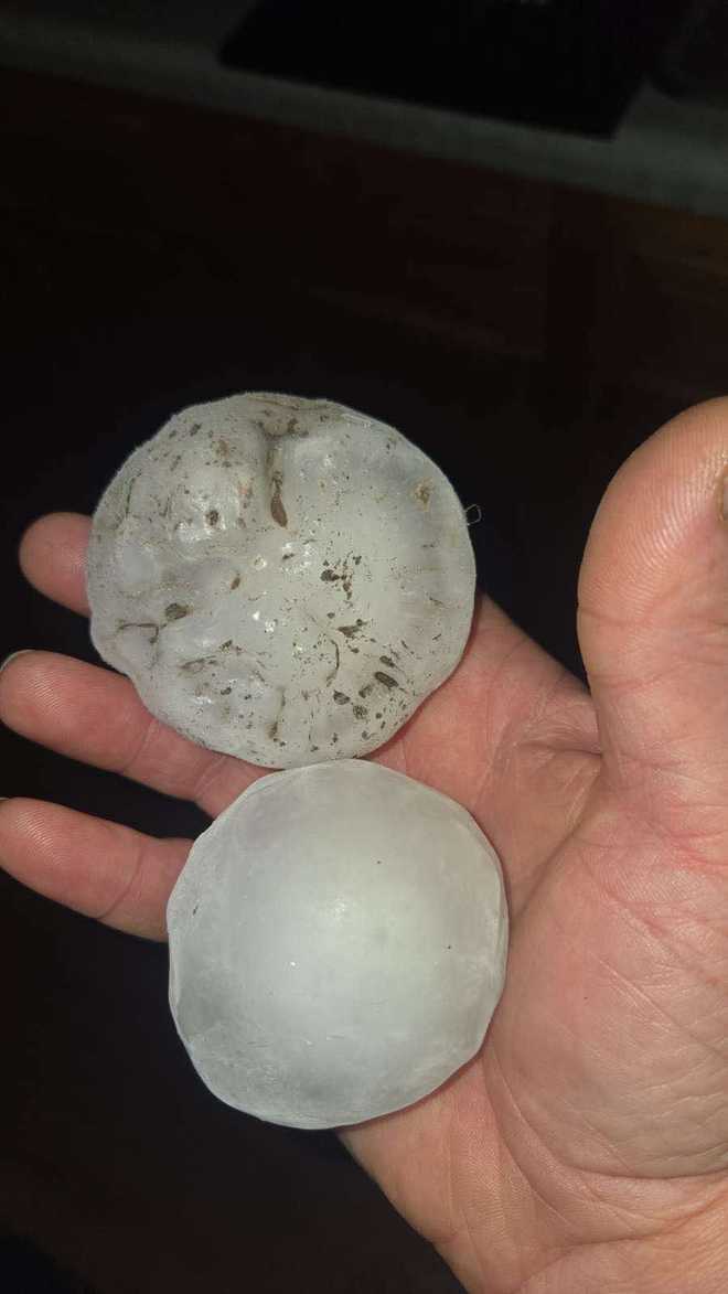 close up photo of yorktown hail