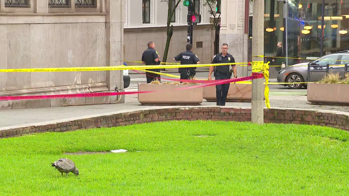 Assault News Image