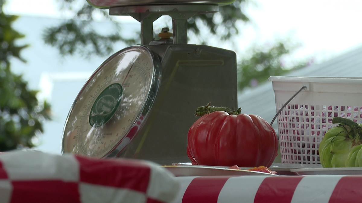 Brooklet’s first Tomato Festival kicked off Saturday