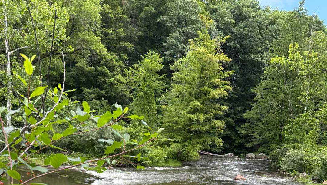 Driver rescued by fire department in Windsor County after truck crashes into Black River