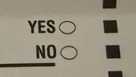 Yes or no? Your guide to all 9 statewide ballot questions
