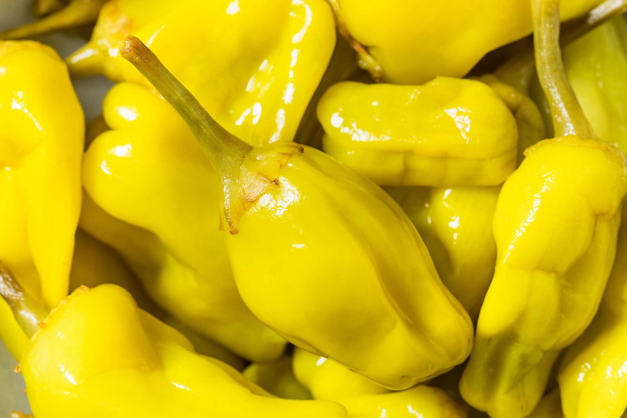 Peperoncini jars recalled after TikToker claims to find dead mouse in jar