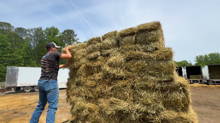 Farmers warn Georgia drought could mean pricier hamburgers, milk and produce