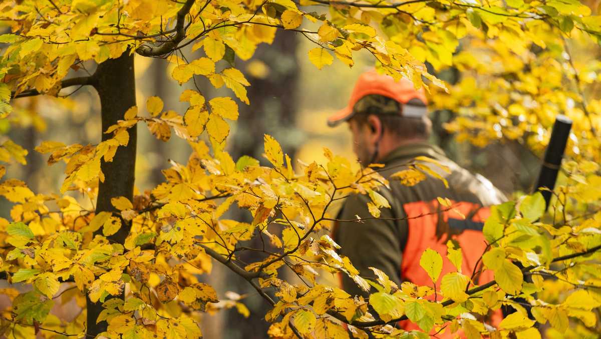 As hunting season ramps up in Maine, the state's Hunters for the Hungry program is ready