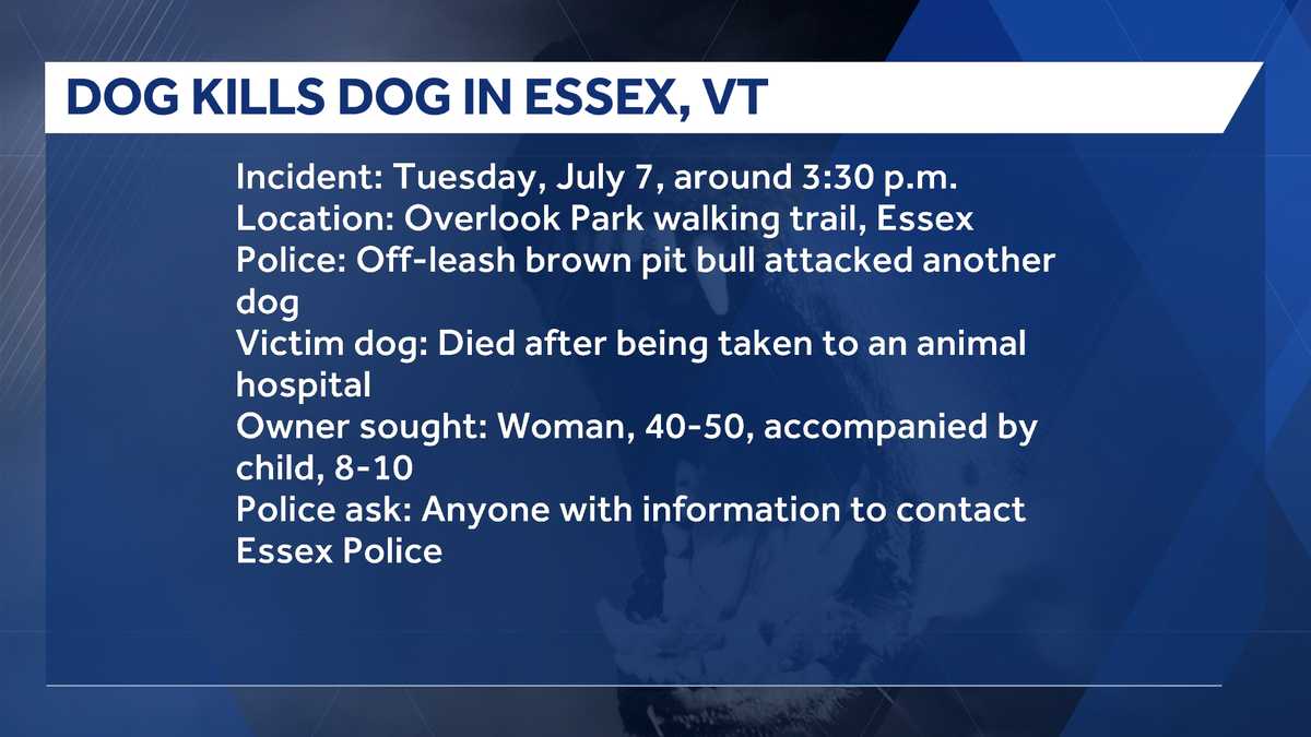 Dog dies after off-leash attack on Essex, Vt. trail, police say