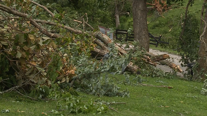 NWS confirms EF2 tornado touched down in Mason County early Thursday ...