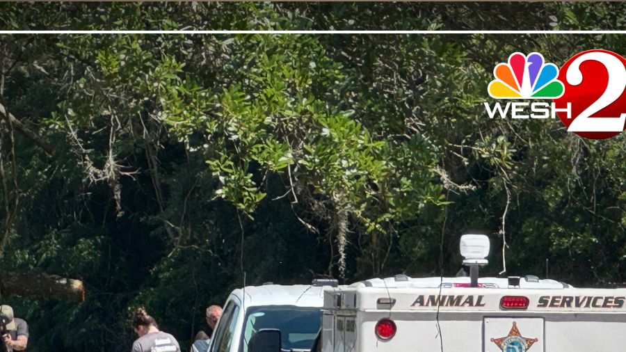 Man trying to shoot dog during attack kills owner instead, Florida ...