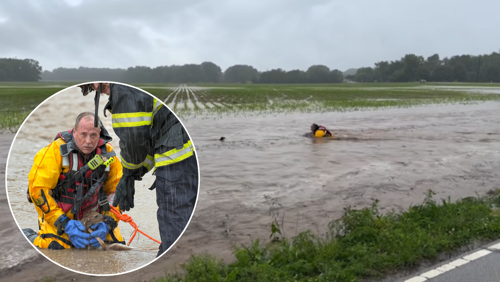 WATCH: Firefighter wades into floodwater to rescue baby deer WLWT