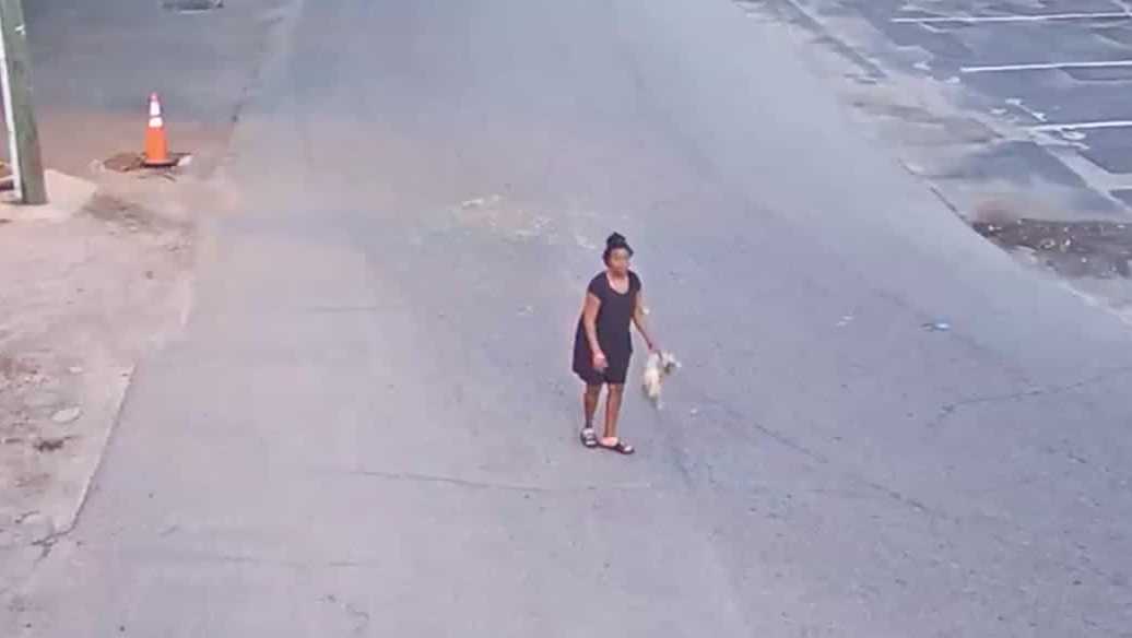 Disturbing video shows Florida woman throwing and kicking a dog