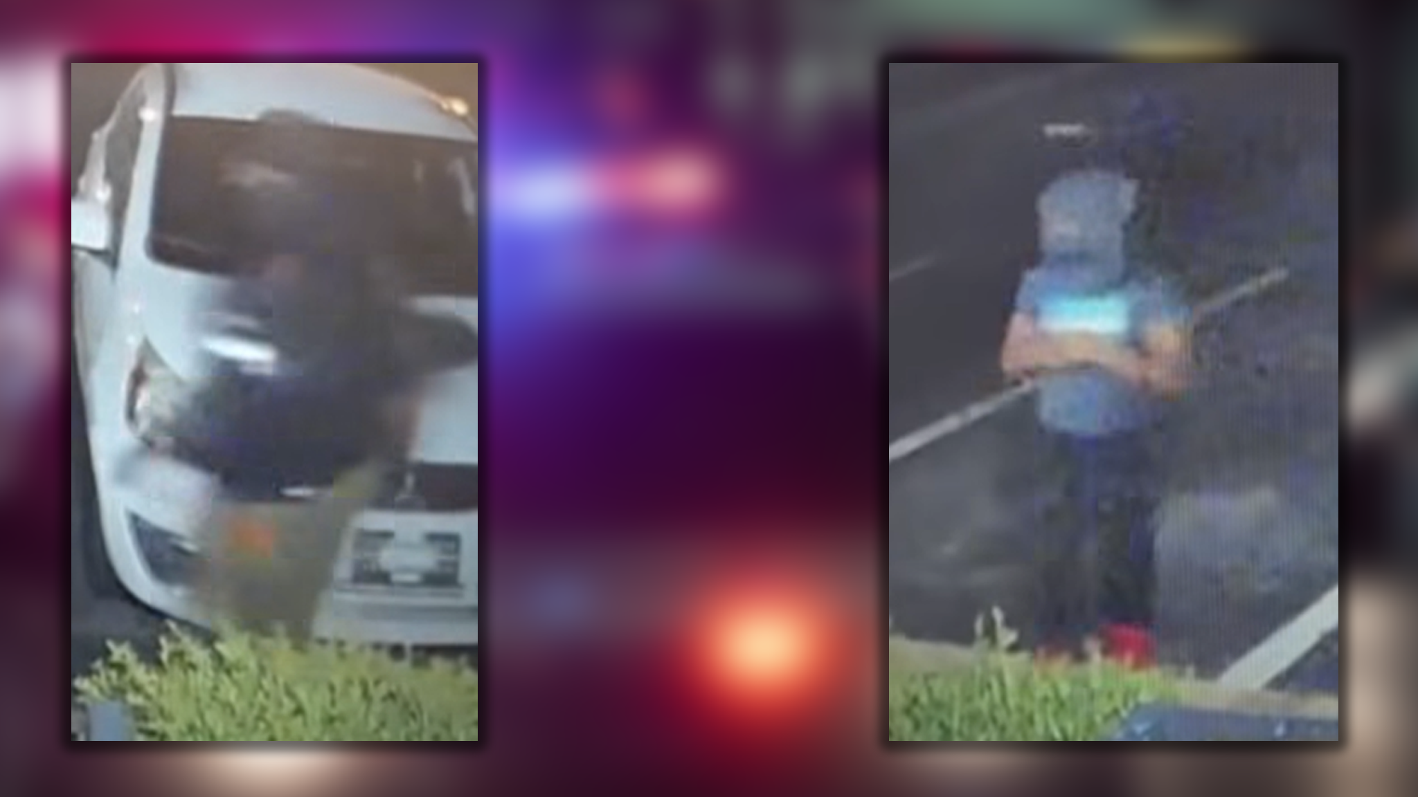 wyff4.com - Chloe McCoy - Police: 4th of July auto break-ins under investigation