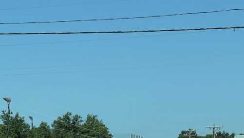Power lines down along Pelham Road leads to power outage at business