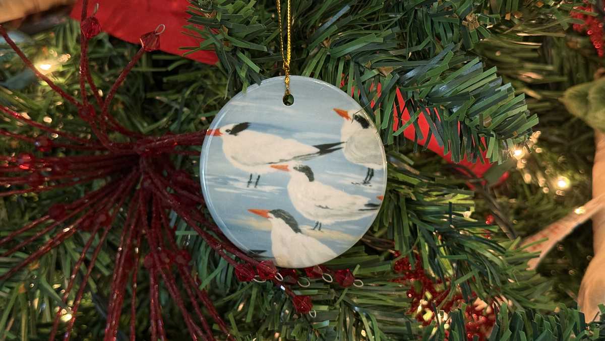 CROW hosts Christmas in July event, brings wildlife-inspired ornaments to Sanibel Island