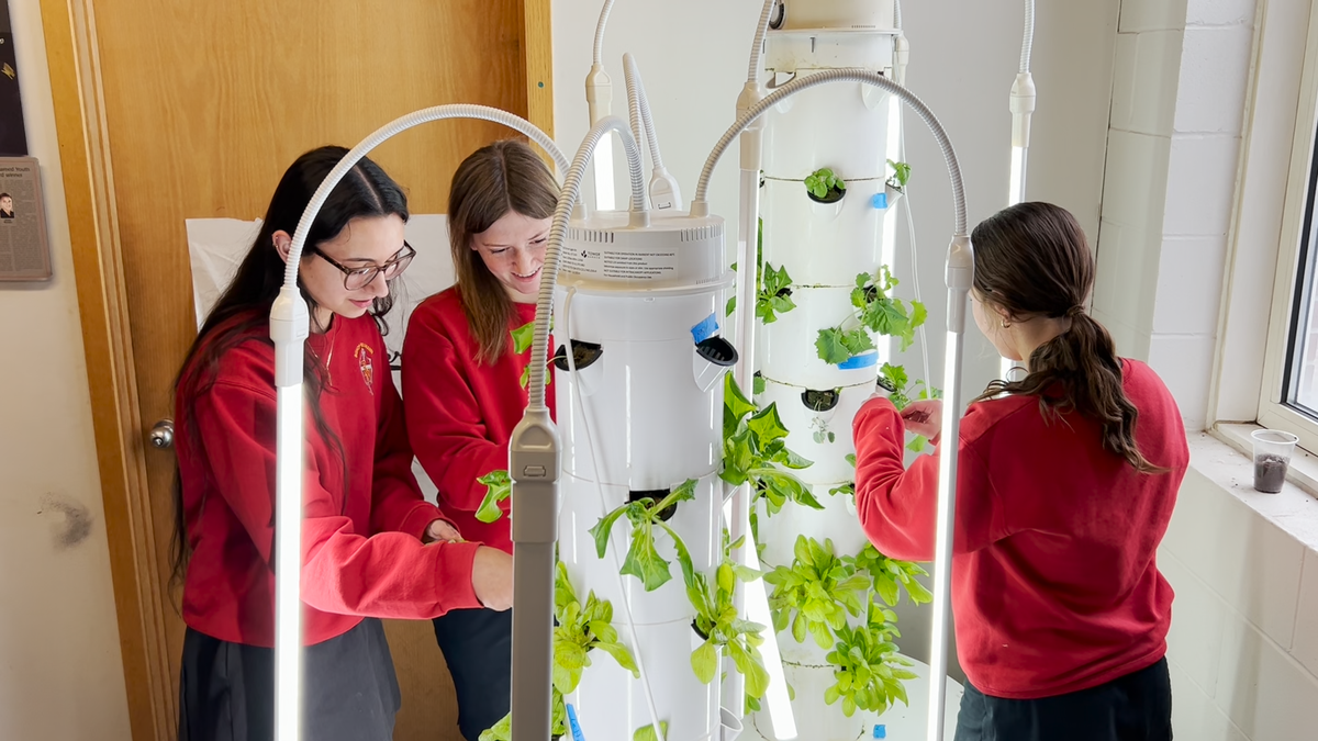 Nebraska school earns $2,500 to improve classroom-to-table nutrition program