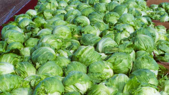 Mass. doctor discusses increase in cyclospora cases in state