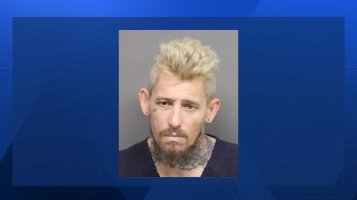 Lincoln man sentenced after taking plea deal in girlfriend's death